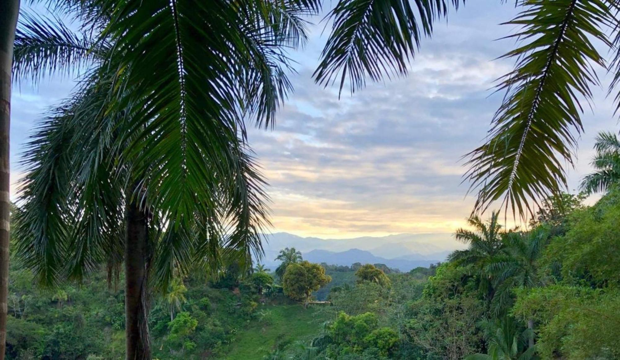 Boutique Hotel Las Cascadas Manuel Antonio Oda fotoğraf