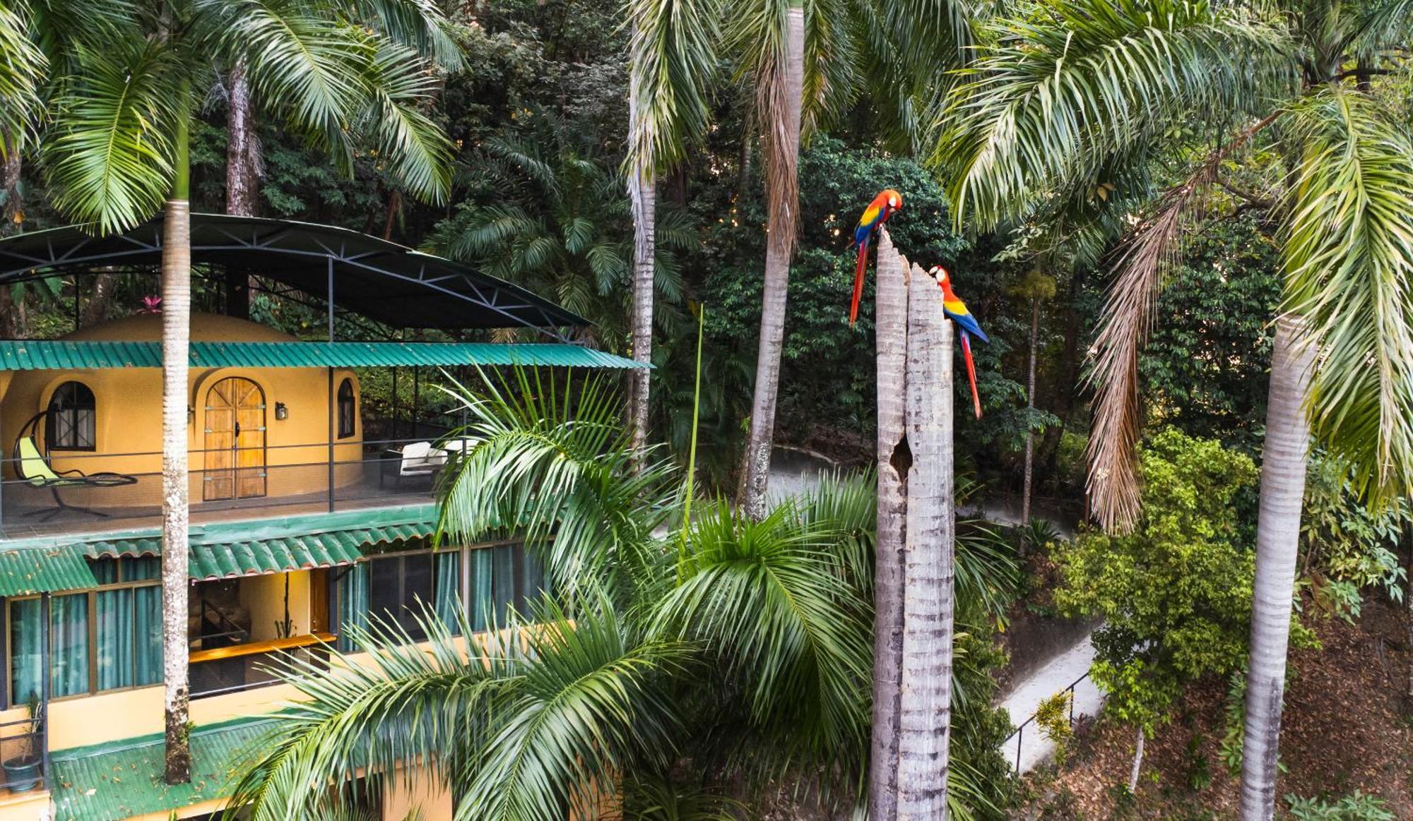 Boutique Hotel Las Cascadas Manuel Antonio Dış mekan fotoğraf